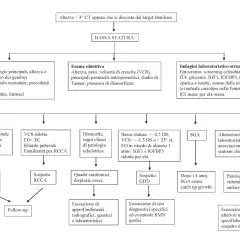 Diagramma di flusso per la bassa statura: valuta anamnesi, esame obiettivo e indagini per determinare se l'ormone della crescita è necessario fino a una certa età.