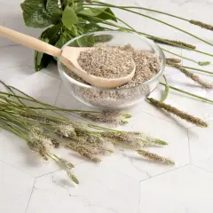 Łuska babki płesznik, naturalne zioła na zaparcia, w szklanej misce z drewnianą łyżką.