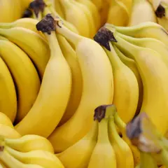 Grono dojrzałych bananów, każdy z nich ma sporo słodyczy. Ile węgli ma banan? To zależy od jego wielkości, ale te wyglądają na sycące!