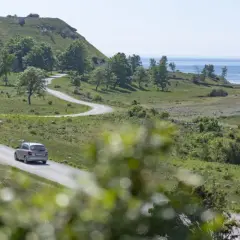 En bil kör på en slingrande väg längs Gotlands kust. Perfekta gotlandstips för en bilsemester.