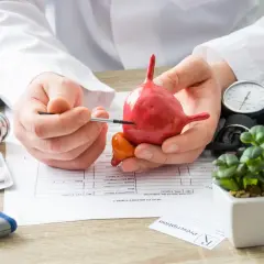 Médecin expliquant la stimulation du nerf tibial pour la vessie. Avis sur le traitement.