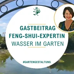 Feng shui wasserfall wo aufhängen? Expertin gibt Tipps für Wasser im Garten. #gartengestaltung