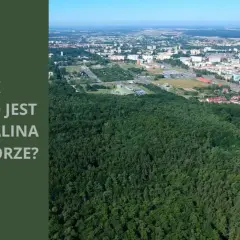 Koszalin ile do morza? Sprawdź najbliższe plaże i dojazd