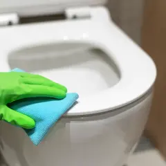Rękawica w zielonej gumie czyści deskę sedesową niebieską ściereczką. Dowiedz się, czym wyczyścić deskę sedesową, aby była higienicznie czysta.