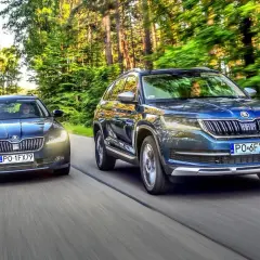 Dwa modele Skoda SUV jadące leśną drogą.
