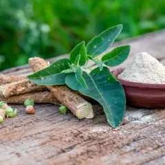 Raíces, hojas y polvo de ashwagandha, mostrando sus múltiples beneficios para la salud.