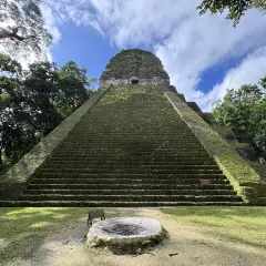 Pirámide maya cubierta de musgo en Tikal, Guatemala. El sol ilumina las escalinatas, rodeadas de exuberante vegetación, como si fueran flores silvestres de Guatemala.