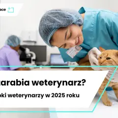 Weterynarz zarobki: 7540 zł brutto? Poznaj realne kwoty!