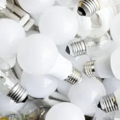 Montón de bombillas, algunas transparentes y otras blancas. Aprende como saber si una bombilla es led observando su diseño.