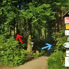 Babia Góra czerwony szlak: Ile km, ile czasu? Uniknij błędów!