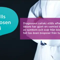 Läkare utreder celiaki baserat på symtom och blodprov. Förstå glutenintolerans symtom för en snabbare diagnos.