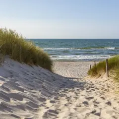 Ścieżka przez wydmy do morza. Wdychaj świeże powietrze, kiedy jest najwięcej jodu, poczuj piasek pod stopami i usłysz szum fal.