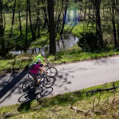Dwie osoby na rowerach przemierzają malownicze bory tucholskie. Trasy rowerowe wiodą przez las, wzdłuż strumienia.