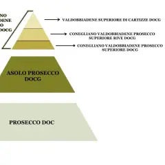 Piramide delle denominazioni del Prosecco: dal DOC al Valdobbiadene Superiore di Cartizze, il prosecco migliore.