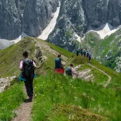 Grupa turystów na szlaku w Alpach. Idealne alpy trekking dla początkujących, z pięknymi widokami i łagodnymi zboczami.