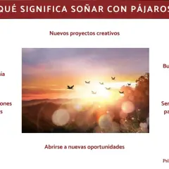 Un amanecer con pájaros volando, simbolizando libertad y nuevos proyectos. No se trata de soñar con pájaros muertos, sino de augurios positivos.