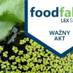 Rzęsa wodna: superfood przyszłości? Poznaj jej moc i bezpieczeństwo