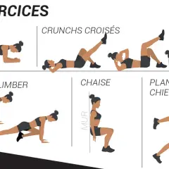 Illustrations d'exercices : gainage, crunchs croisés, mountain climber, chaise, planche chien. Idéal pour un bon crunch abdo.