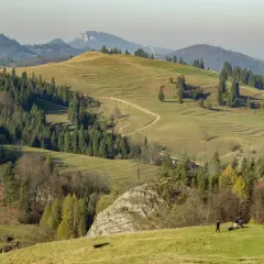 Malowniczy krajobraz gór Pienin jesienią. Kręta droga wije się po zielonych wzgórzach, otoczonych lasami.