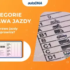 Prawo jazdy do 7,5 tony: Unikaj błędów i poznaj prawdziwe wymagania kategorii C1