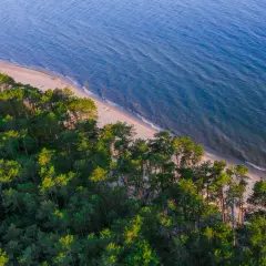 Piękna, piaszczysta plaża nad Bałtykiem, otoczona lasem sosnowym. Idealne miejsce na relaks, być może jedna z plaż naturystów w Polsce.
