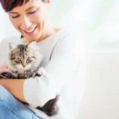 Por qué mi gato me amasa y qué significa este comportamiento afectuoso