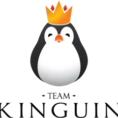 Team Kinguin: Wzloty i upadki polskiej legendy e-sportu