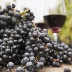 Kielich czerwonego wina i kiście ciemnych winogron deserowych na drewnianym stole, w tle winnica.