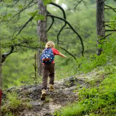 Mały odkrywca z plecakiem wędruje po leśnym szlaku w Beskidach.