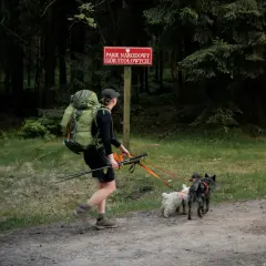 Woliński Park Narodowy z psem to wspaniała przygoda. Turystka z plecakiem i dwoma psami na smyczy przemierza leśną ścieżkę.