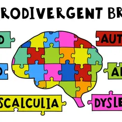 Il cervello neurodivergente è un puzzle colorato, con pezzi che rappresentano autismo, ADHD, dislessia, discalculia, PTSD e OCD.