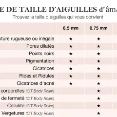 Guide des tailles d'aiguilles pour dermaroller : 0.5mm, 0.75mm, 1.0mm pour divers problèmes cutanés.