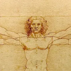 Człowiek witruwiański ciekawostki: rysunek Leonarda da Vinci ukazuje idealne proporcje ludzkiego ciała wpisane w okrąg i kwadrat.