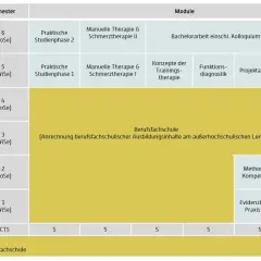 Studienverlaufsplan für ein duales Studium Physiotherapie NRW mit Modulen wie Manuelle Therapie, Trainingskonzepte und PT-Wissenschaft.