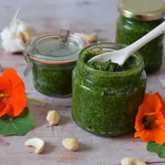 Frisches Kapuzinerkresse Pesto in Gläsern, umgeben von Kapuzinerkresseblüten, Cashewkernen und Knoblauch.