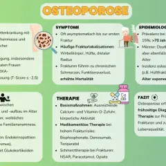 Osteoporose: Ursachen, Symptome, Therapie. Ist Osteoporose heilbar? Frühzeitige Diagnose und gezielte Therapie sind entscheidend zur Prävention von Frakturen.