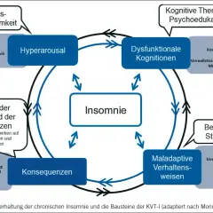 Das Modell zeigt die Aufrechterhaltung von Insomnie und die Bausteine der KVT-I zur Insomnie Behandlung.