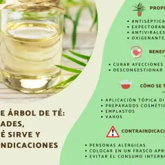 Aceite de árbol de té: usos, propiedades y beneficios. Antiséptico, antiviral y para afecciones de la piel.