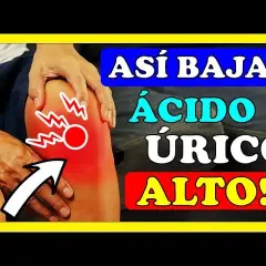 Medicamento para ácido úrico alto: las mejores opciones y consejos útiles