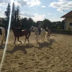 Stadnina koni Leśna Wola Rzeszów – idealne miejsce na jazdę konną