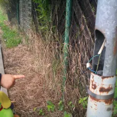 Kto odpowiada za oświetlenie ulic i jak zgłaszać problemy?