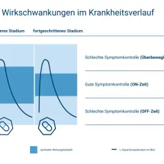 Grafik zeigt L-Dopa-Konzentration im Blut über die Zeit bei Parkinson. Mit zunehmendem Krankheitsverlauf (10 Jahre) werden die Schwankungen größer.