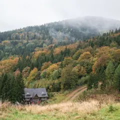 Jesienny las w górach blisko Wrocławia. Mgła otula szczyty, a kolorowe drzewa tworzą malowniczy krajobraz wokół drewnianego domu.