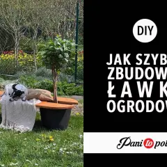 Jak samemu zrobić ławkę ogrodową? Piesek odpoczywa na gotowej, drewnianej ławce w otoczeniu zieleni.