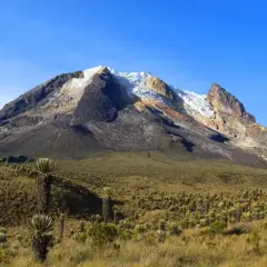 Paysage de haute montagne en Colombie, avec un volcan enneigé et une végétation unique de frailejones. Une invitation à la randonnée.