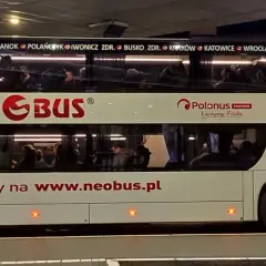 Autobus Neobus z wizerunkiem wielbłąda i napisem "bilety na www.neobus.pl".