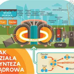 Schemat ilustruje działanie reaktora do fuzji jądrowej, gdzie deuter i tryt tworzą plazmę, generując energię.
