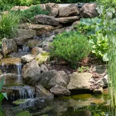 Un exemple de cascade pour bassin, avec des rochers, de la végétation luxuriante et une eau claire.