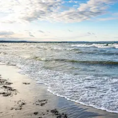Plaża z falami i wodorostami na piasku. W oddali widać molo i linię brzegową. Idealny widok, kiedy zaczyna się sezon nad morzem.