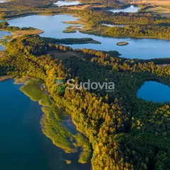 Atrakcje w Suwałkach i okolicy: Przewodnik po polskiej Bajkalii